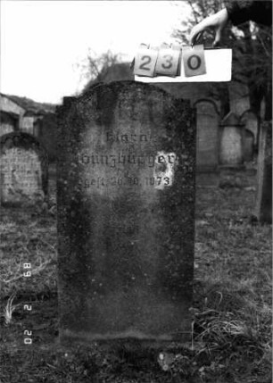 Grabstein 230 (Index: 99798727) Material: Kunststein Zustand: leicht verwittert Maße HxBxT: 98x50x15 cm Beschreibung: Stele mit doppelt eingezogenem Bogenabschluß: Grabstein 230