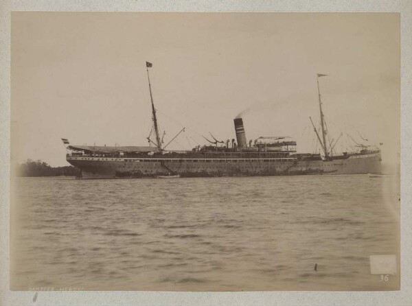 Steamer Duke