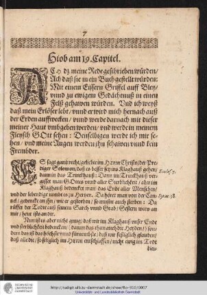 Hiob am 19. Capitel.