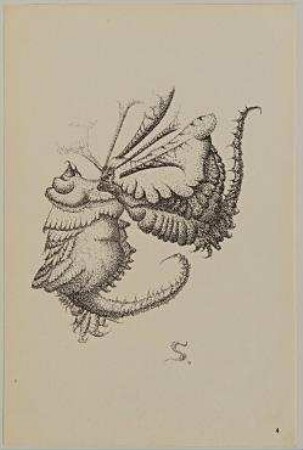 Jenseits-Galerie. Blatt 4 aus der Mappe mit 10 Lithographien