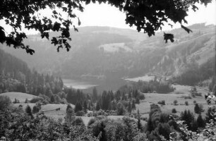 St. Blasien: Blick ins Albtal mit See