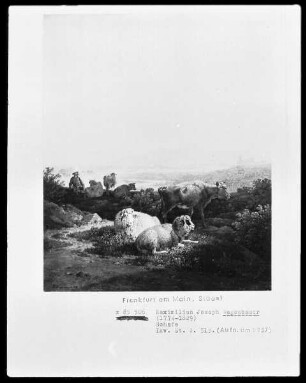 Schafe und Kühe vor weiter Landschaft