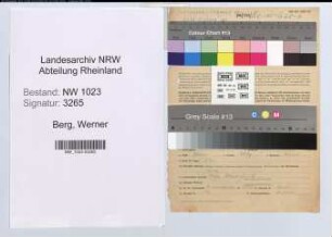 Entnazifizierung Werner Berg , geb. 21.06.1909 (Kaufmann)