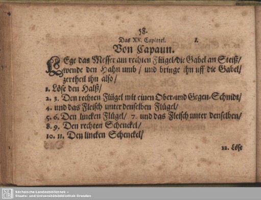 Das XX. Capitel. Von Capaun