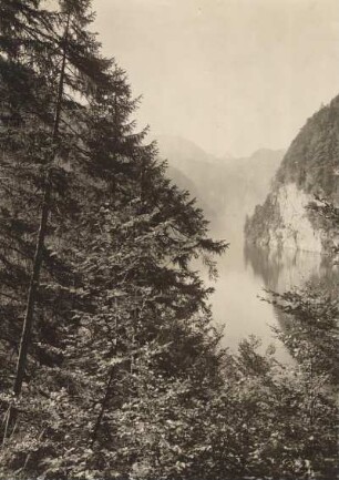 Im Berchtesgadener Land (Oberbayern). Blick vom Malerwinkel, einem Aussichtspunkt, auf den Königssee