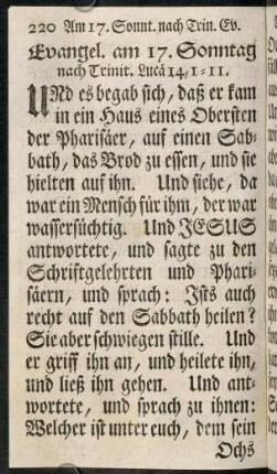 220-234, Evangel. am 17. Sonntag nach Trinit. - Evangel. am 20. Sonntag nach Trinit.