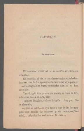 Capítulo V. - La sorpresa.