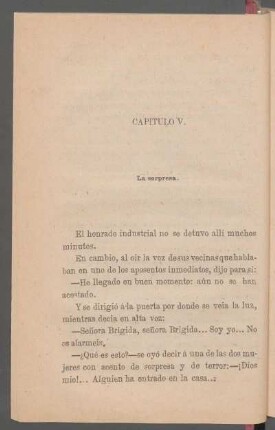 Capítulo V. - La sorpresa.