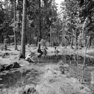 Johanngeorgenstadt, Binge : Johanngeorgenstadt. Binge an der Eisenstraße