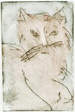 Böse Katze