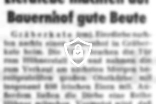 Eierdiebe machten auf Bauernhof gute Beute