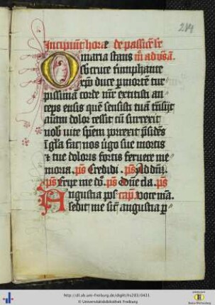 [214r - 219v] Officium de compassione.