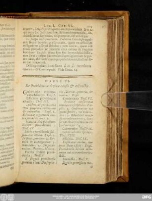 Caput VI. De Providentiae divinae causis & adiunctis.