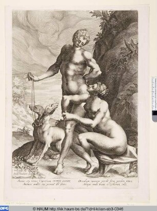 [Venus und Adonis; Venus and Adonis]