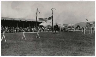 Pferderennen auf dem ehemaligen Exerzierplatz