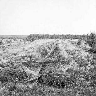 Nienwohlder Moor: Moorfläche mit Gräben: im Hintergrund Sträucher