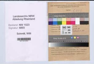 Entnazifizierung Willi Schmitt , geb. 23.01.1914 (Elektriker)