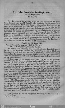 Ueber bosnische Tertiärpflanzen