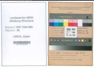 Entnazifizierung Adam Hilfrich , geb. 01.04.1886 ()