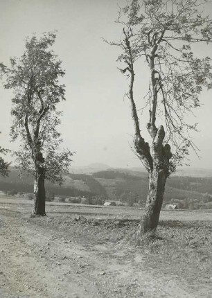 Dorf, Altenberg