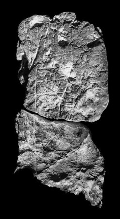 La Florida, Stela 2 (FLD: St. 2)