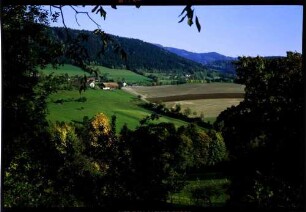 Perasdorf: bayerische Wald Landschaft mit herbstlichen Bäumen