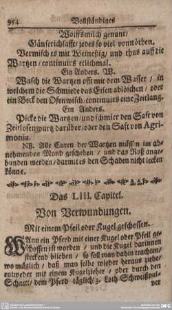 Das LIII. Capitel. Von Verwundungen.