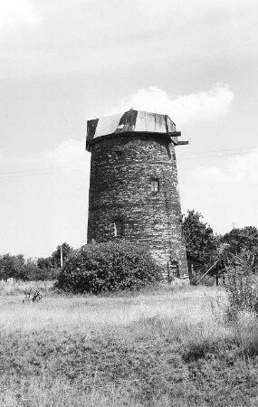 Pflückuff-Mehderitzsch. Turmholländer