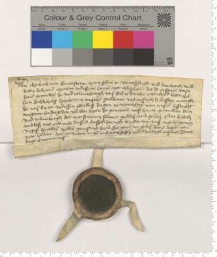 Elisabeth van Eversteine, Herzogin zu Braunschweig und Lüneburg, Witwe, bescheinigt dem Rat zu Lüneburg den Empfang von 250 Rheinischen Gulden und 50 Lübischen Mark, als ihrer zur Zeit fälligen Leibzucht.