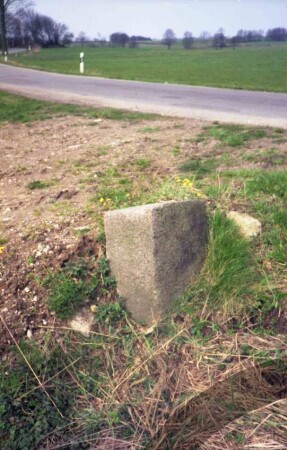 Kreis Herzogtum Lauenburg: Grenzstein: neben Straße