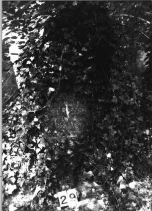 Grabstein 29 (Index: 100085372) Maße HxBxT: 130x90x30 cm Beschreibung: Stele, Spitzbogenabschluß, Schriftfeld eingetieft: Grabstein 29