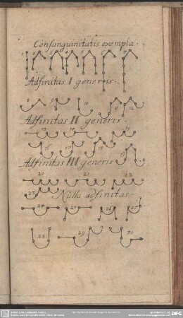 Consanguinitatis exempla