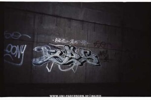 SeS