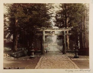 709 Torii at Nikko