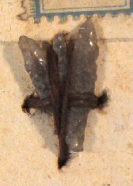 Stone arrowhead