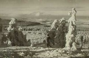 Blick vom Kahleberg nach Schellerhau
