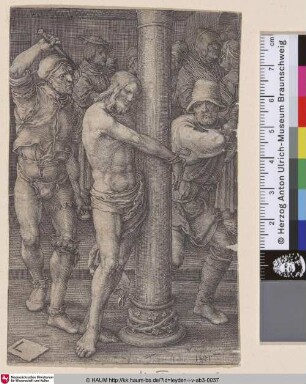 [Die Geißelung Christi; The Flagellation; Mark. 15, 15; Luk. 23, 16, 22; Joh. 19,1]