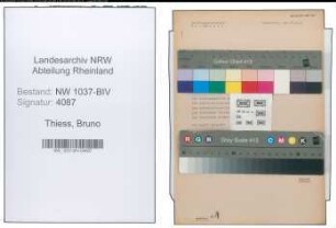 Entnazifizierung Bruno Thiess , geb. 16.05.1904 (Reg.Inspektor)