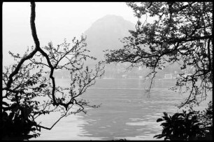 Lugano: Luganer See durch Blütenbäume