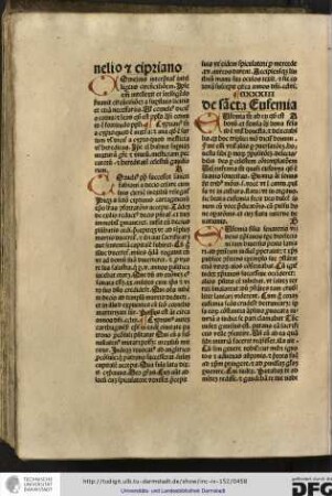 Cornelius interpretatur intelligens circumcisionem, ipse enim intellexit et intelligendo servavit circumcisionem...