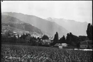 Clarens, Blick auf Montreux und die Rochers-de-Naye
