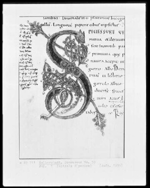 Lateinische Grammatik des Priscian, Ms. 59, folio ?, Initiale S(pecies)