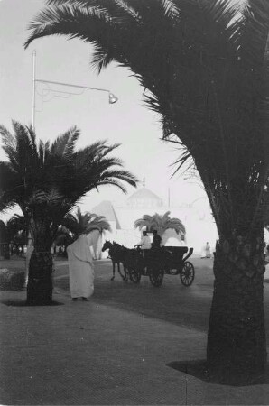 Reisefotos Marokko. Straßenbild mit Palmen. Im Hintergrund eine Moschee?