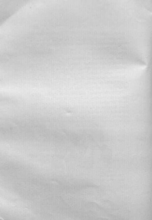 La Espuma : novela de costumbres contemporáneas, 2