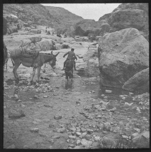 el-tara [An der Quelle von sel fara]