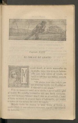 Capítulo XXXV - El coraje de Aracil