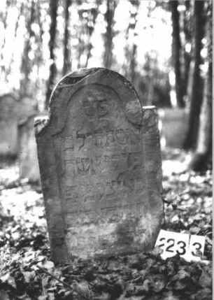 Grabstein 2233