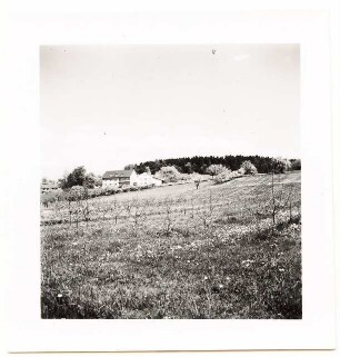 Haus Ottenberg, Kressbronn: Haus in der Landschaft