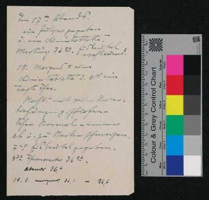 Handschriftliche Notizen zur [Tabletteneinnahme] und Körpertemperaturen, o.D.