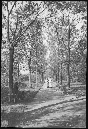 Großenhain. Partie im Stadtpark